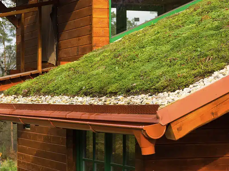 green roof systems